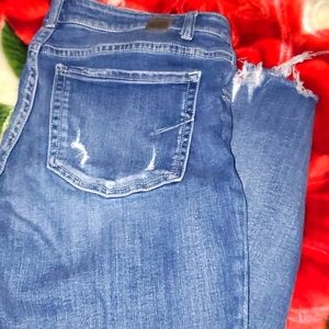 BKE Payton cropped/capri pant